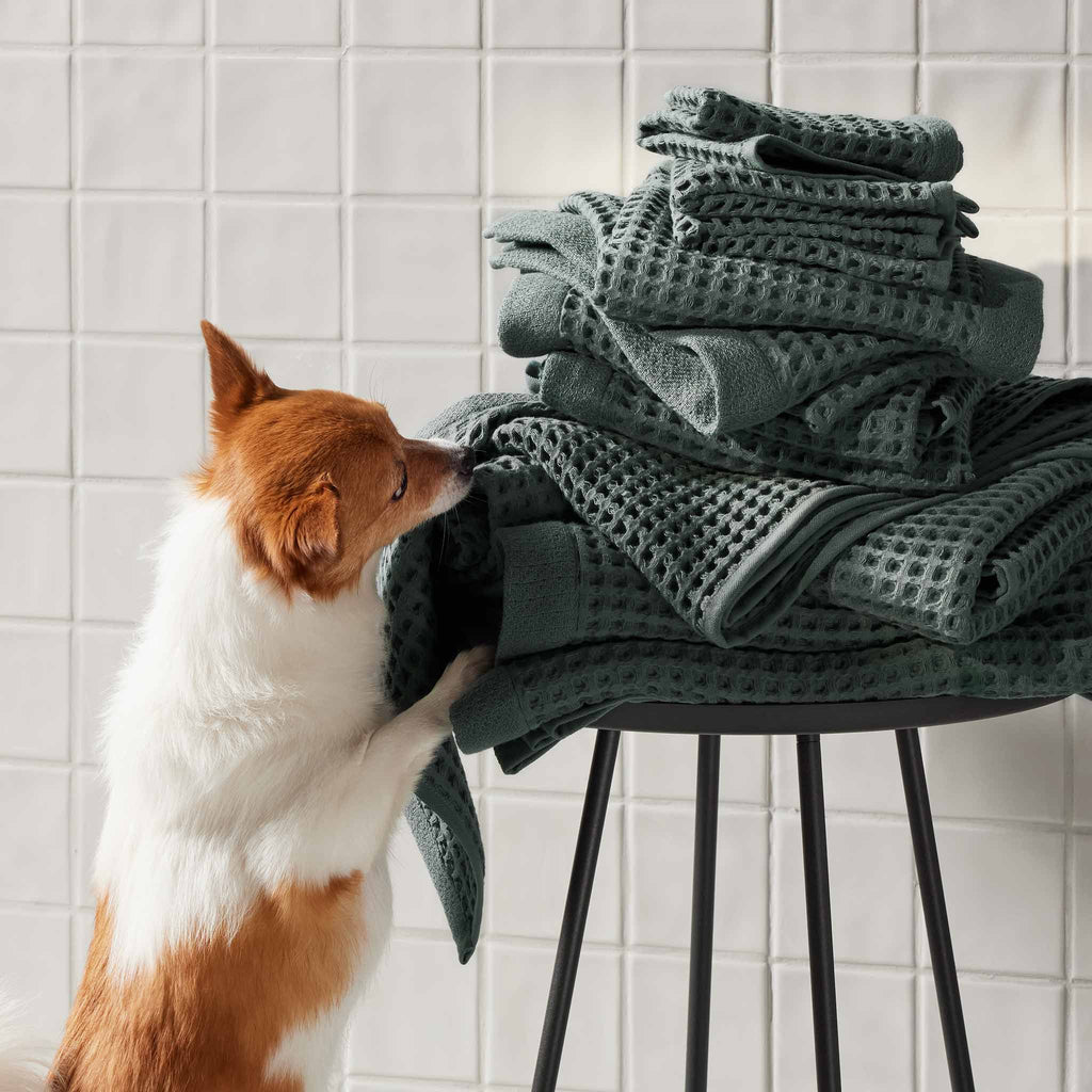 Dreamweave Waffle Bath Towels Set of 2 - Last Call