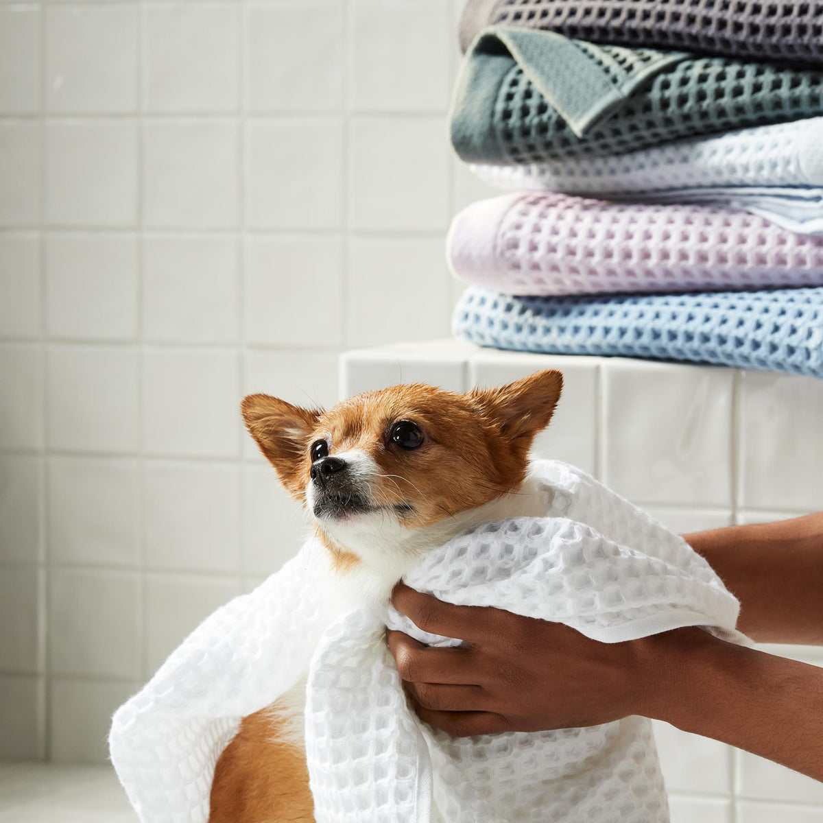 Dreamweave Waffle Hand Towels Set of 2 - Last Call