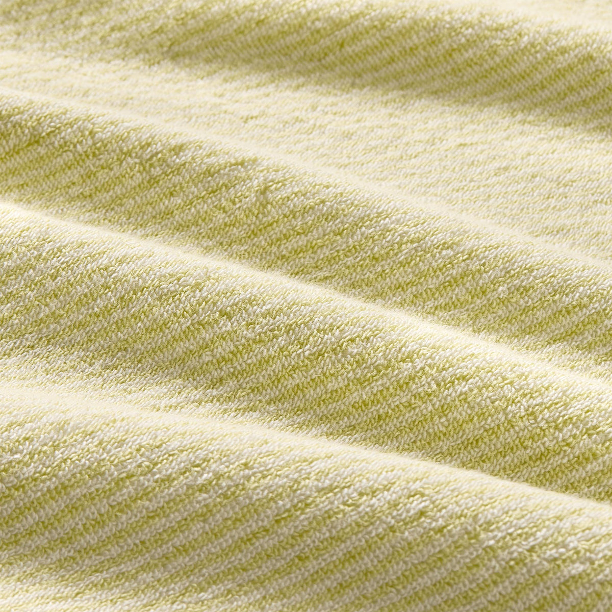 Plush Turkish Cotton Hand Towels Set of 2