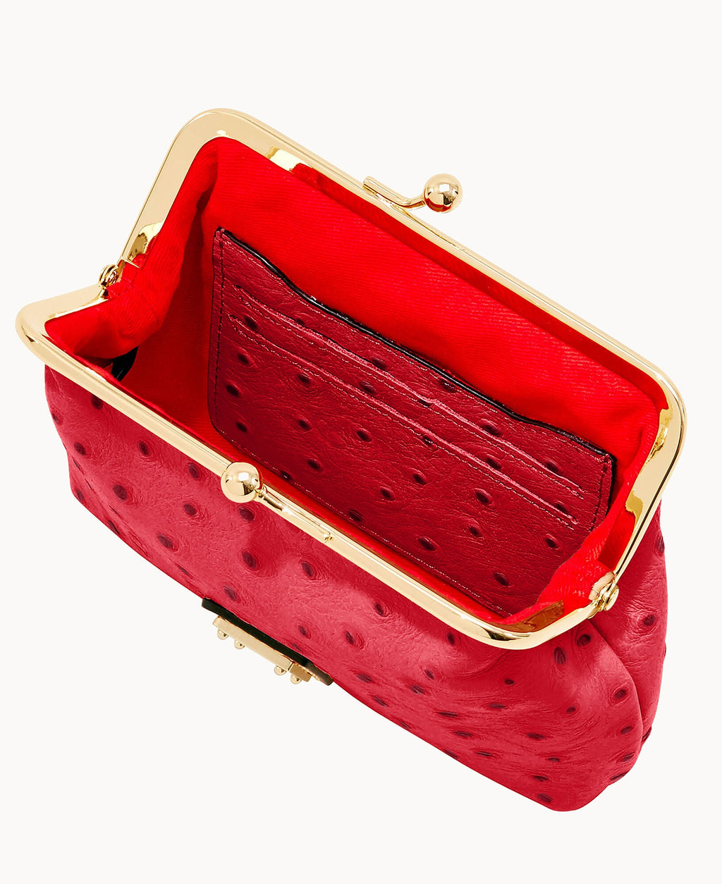 Ostrich Large Framed Purse