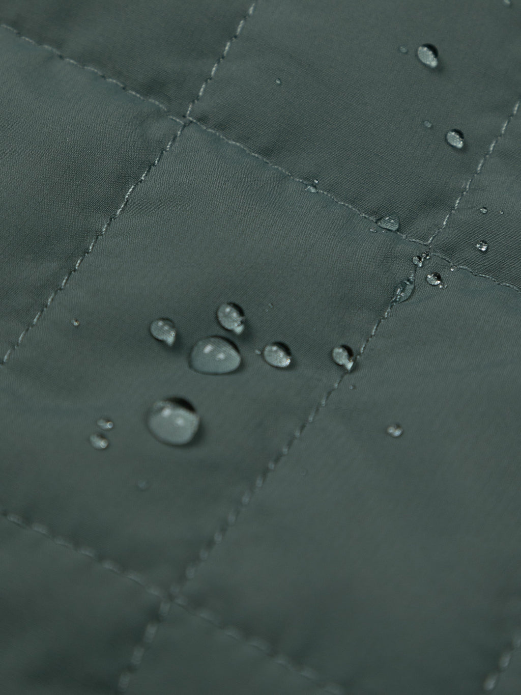 Women's Firecrest Hooded Jacket